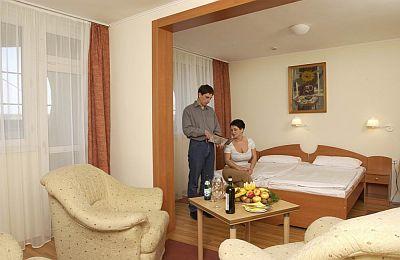 4* akciós szabad hotelszoba Egerben a Hotel Eger Parkban - Hotel Eger**** Park Eger - Akciós wellness szálloda Eger belvárosában